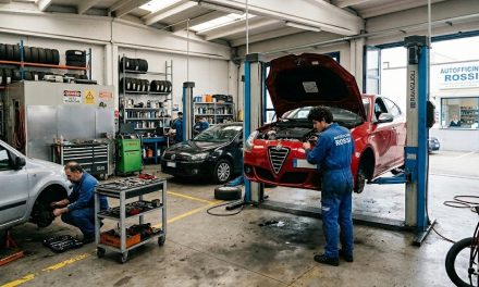 AUTO: TANTE E TRA LE PIU’ VECCHIE IN UE, MA GLI AUTORIPARATORI DIMINUISCONO